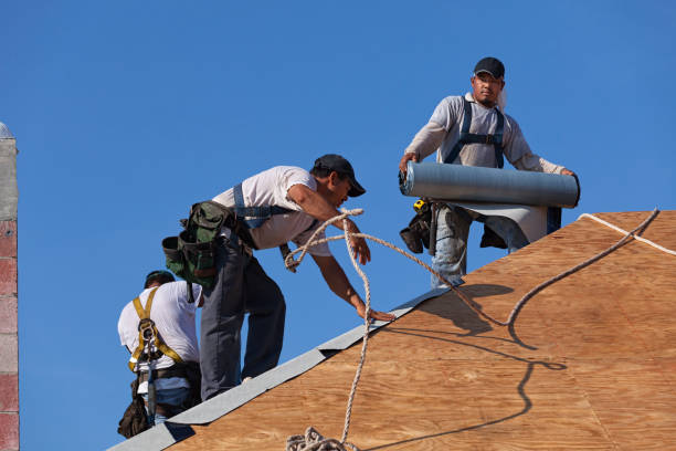 Best Roof Maintenance Services  in Eastpointe, MI