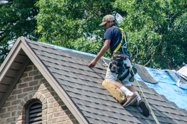 Best Roof Leak Repair  in Eastpointe, MI